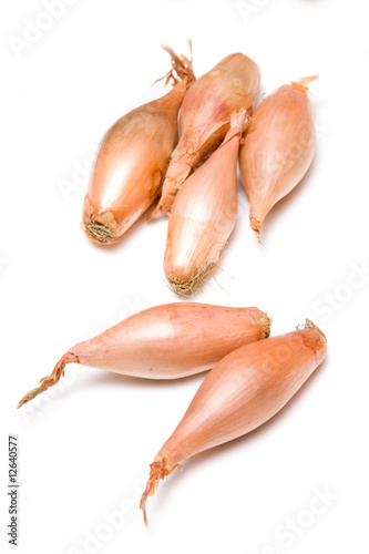 Echalion onions isolated on a white background.