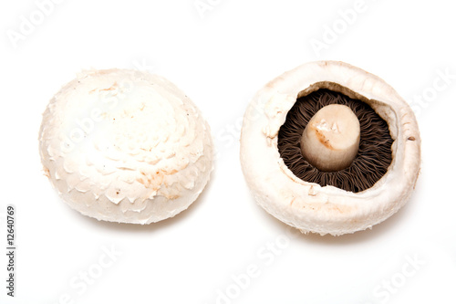Mushrooms isolated on a white studio background.