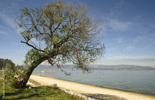 Playa de Las Sinas photo