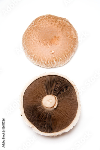mushrooms on a white studio background