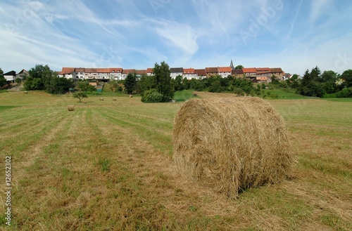 Rundballen photo