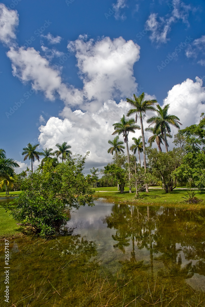 Fairchild tropical botanic garden, FL, USA