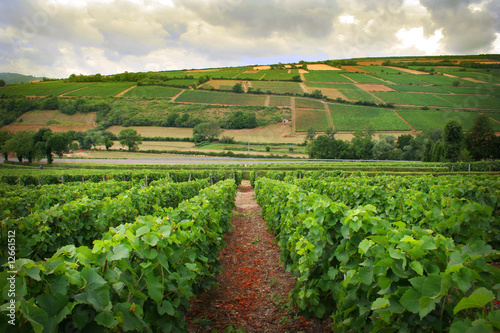 French Winery