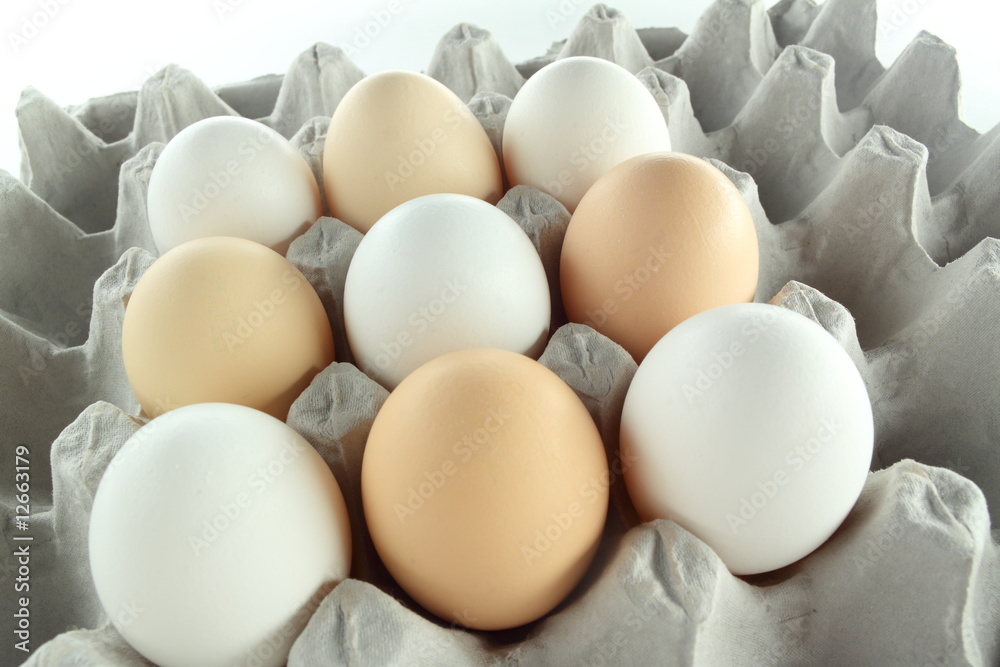 chicken eggs in container