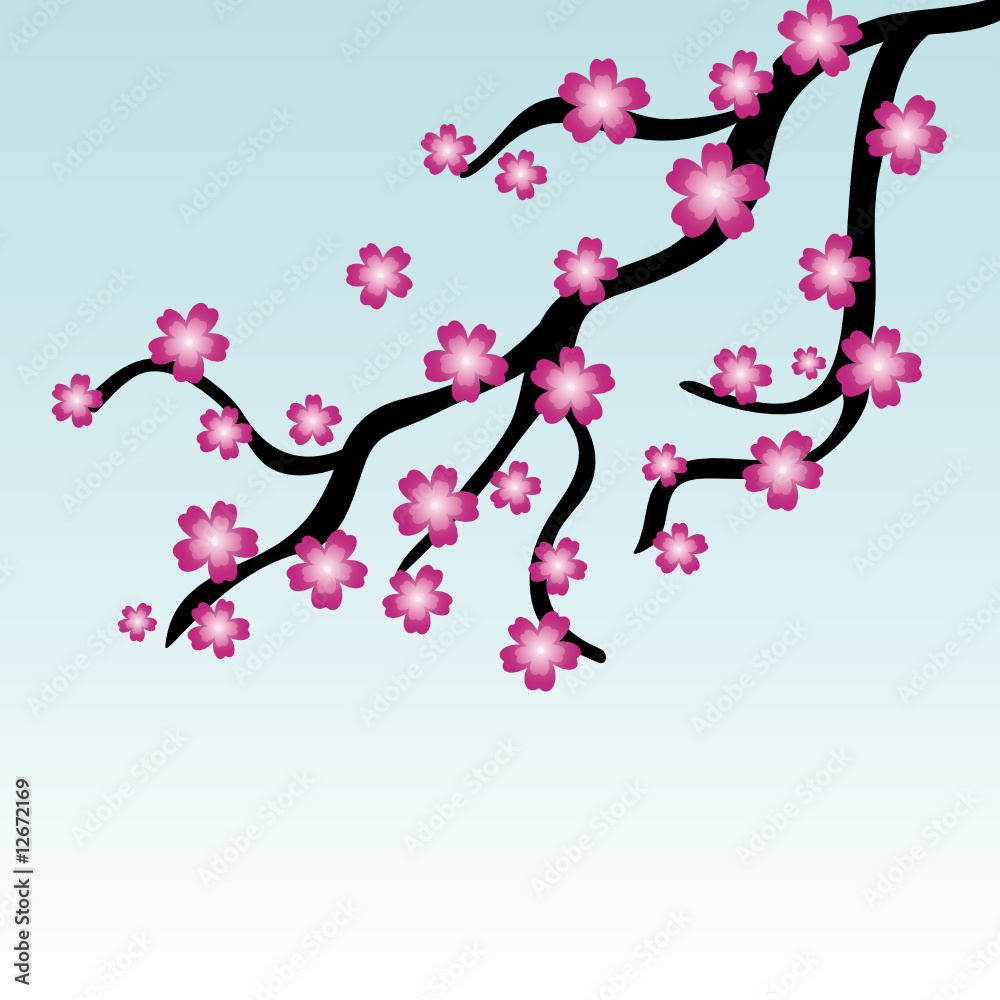 Kirschblüten3