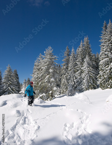 Winter landscape © Željko Radojko