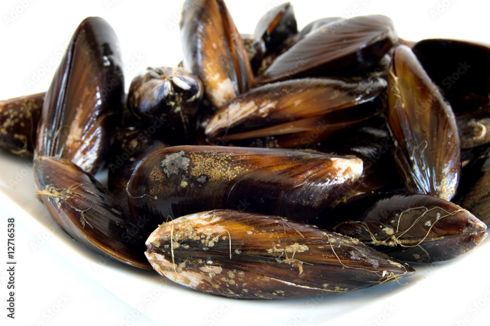 Uncooked mussels Uncooked mussels