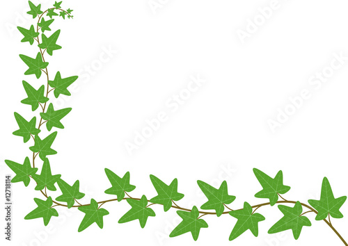ivy - floral card