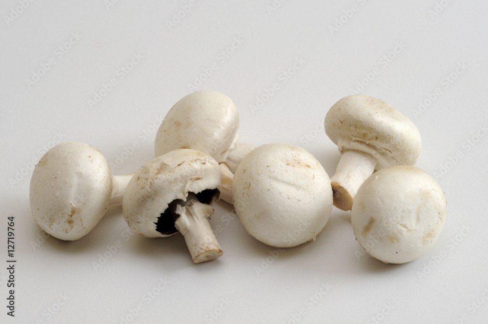Champignons