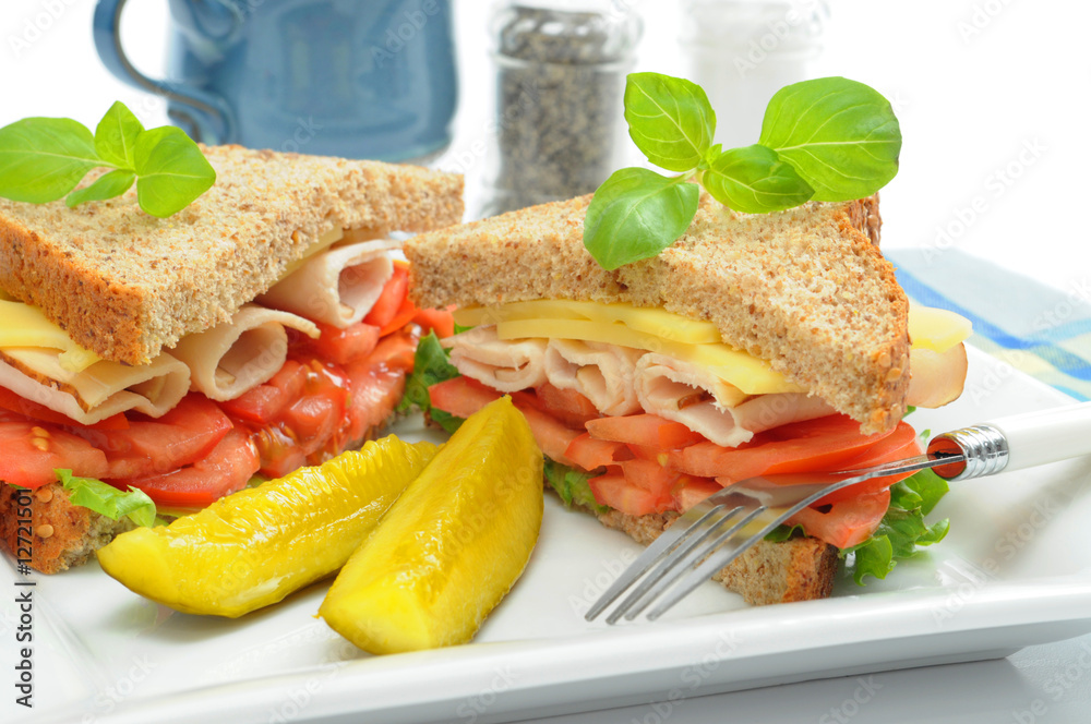 Obraz premium Healthy Sandwich