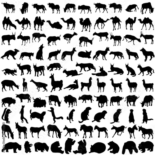 Hundred silhouettes of wild animals from Asia and America