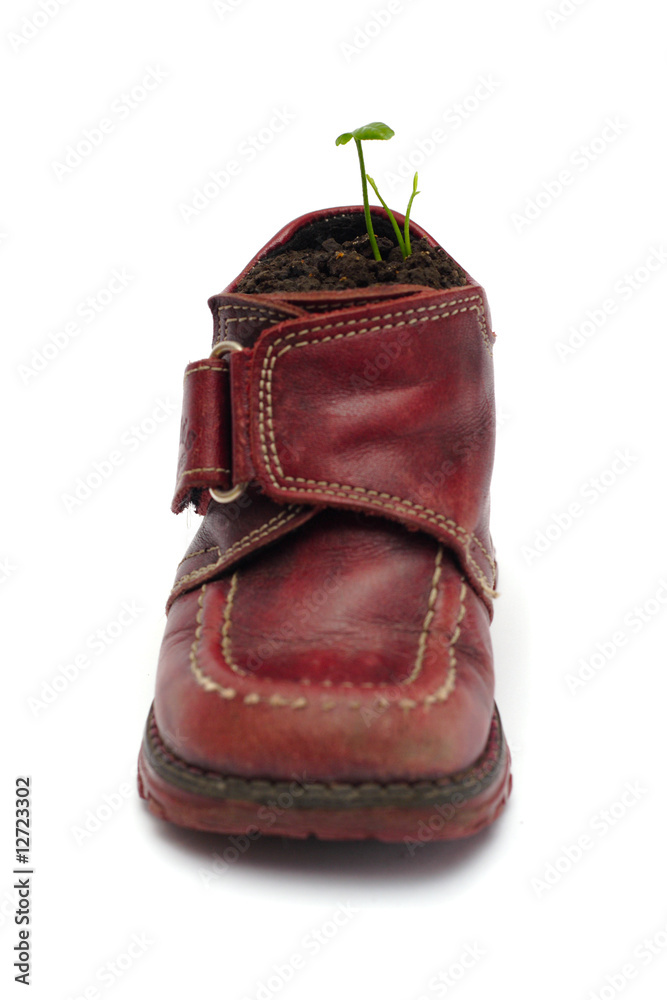 child shoe with sprout