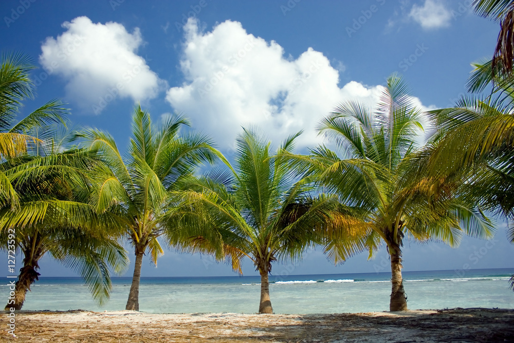 Fototapeta premium Island Paradise