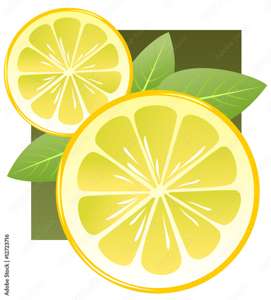 lemon slices lemon slices