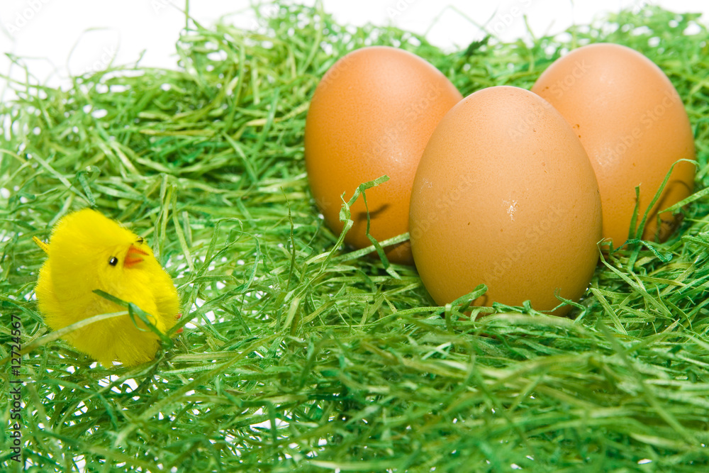 Easter egg on green grass Easter egg on green grass