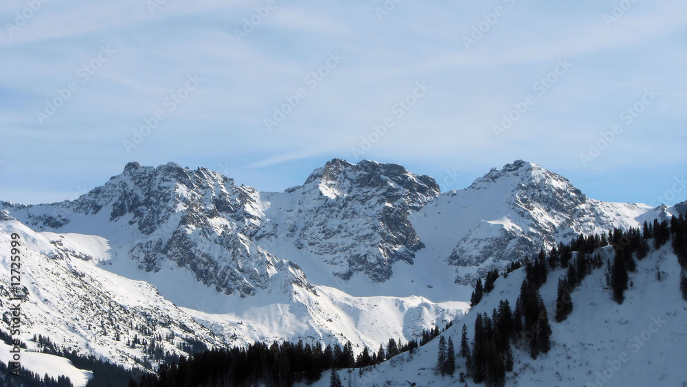 Fototapeta premium Winter Panorama 2
