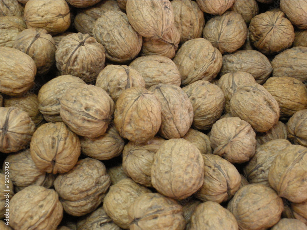Walnut Walnut