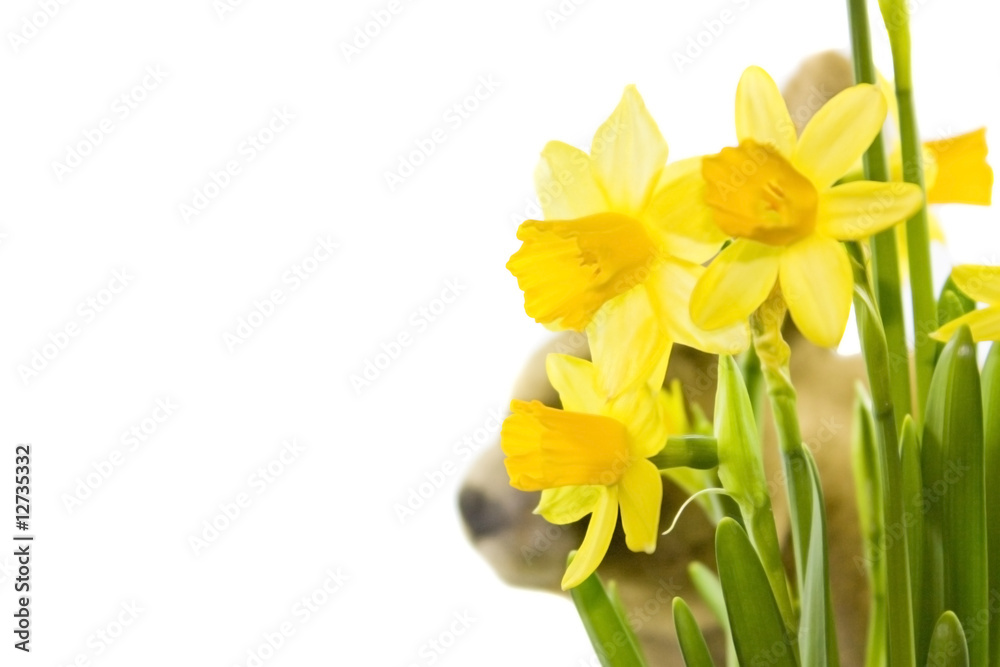 Fototapeta premium Ostermotiv