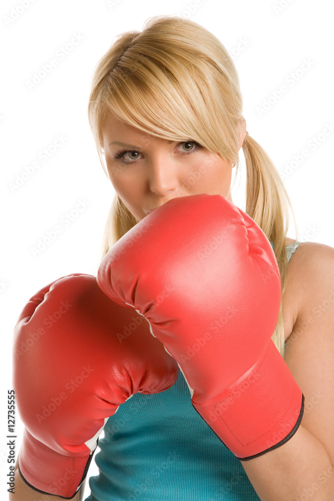 boxer boxer