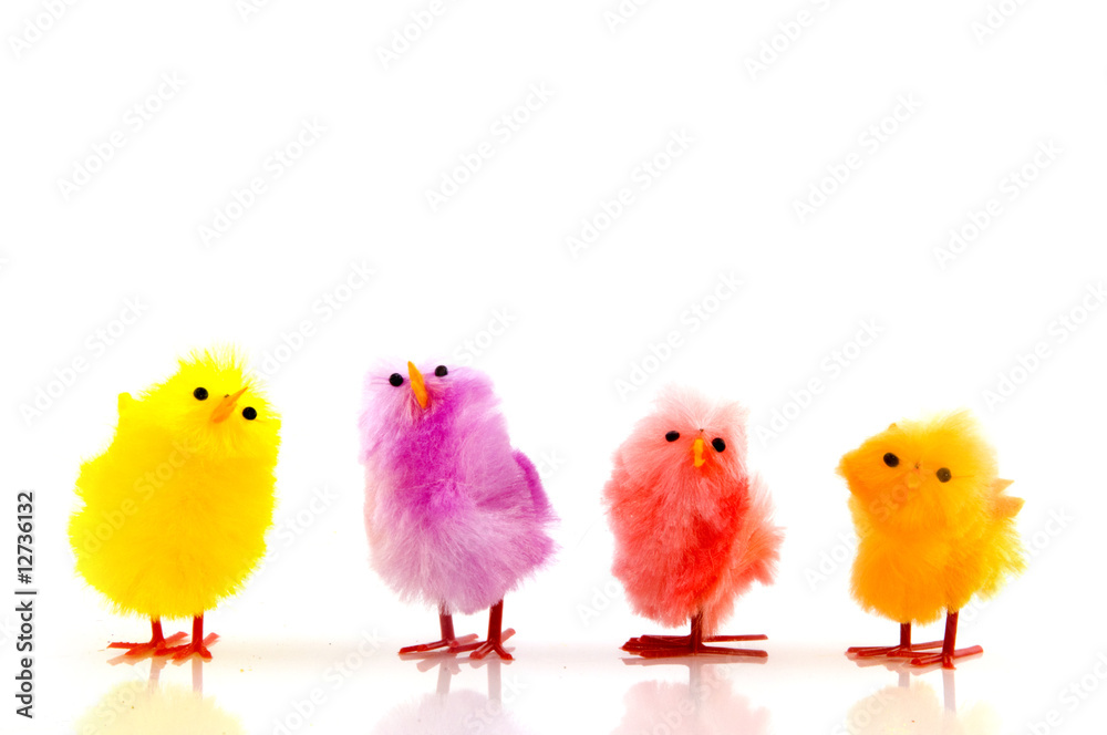 easter chicks