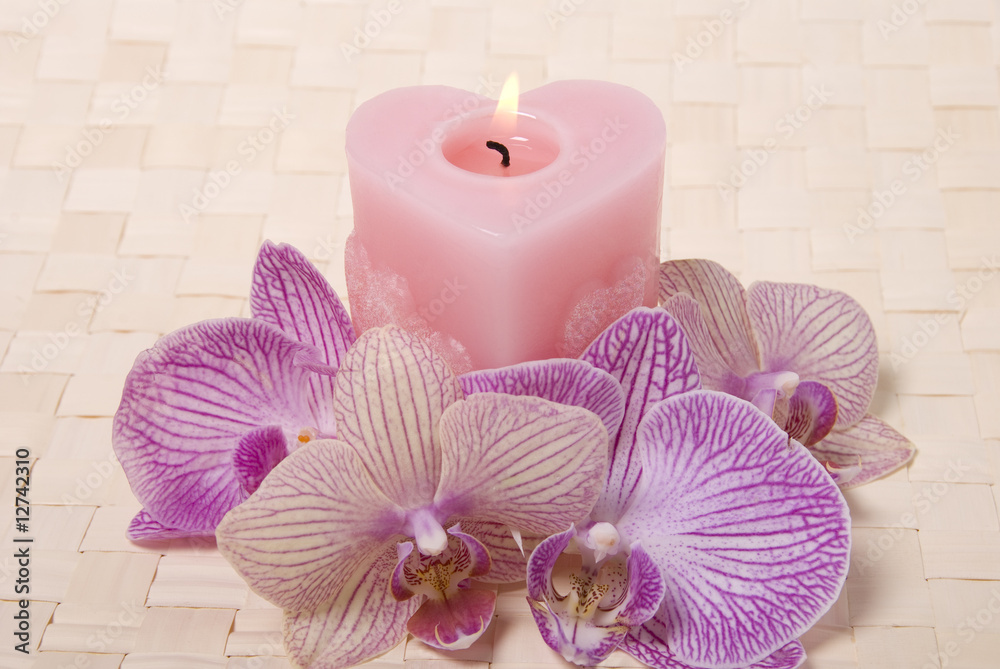 Candle and orchid Candle and orchid
