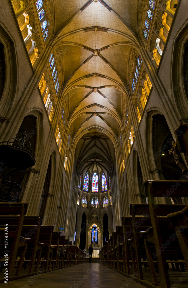Fototapeta premium Principal Dome of Sainte-Marie de Bayonne Cathedral. France