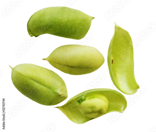 Wallpaper Mural Beans Torontodigital.ca