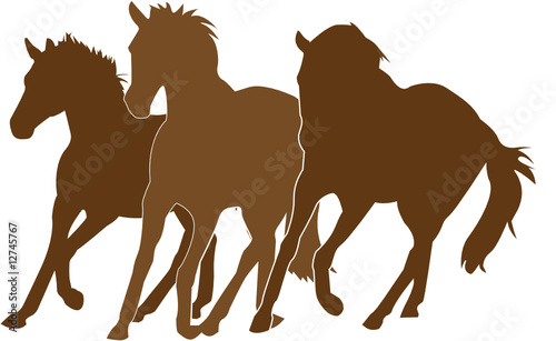 vector chocolate horses