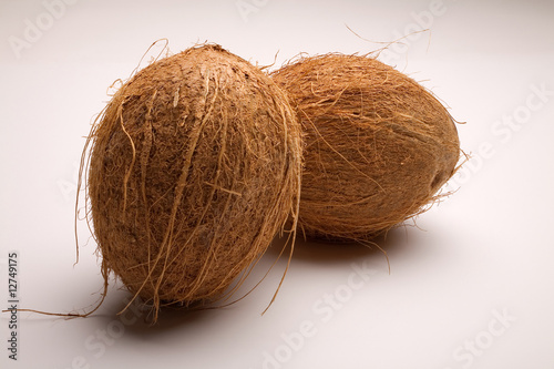 coconuts 4