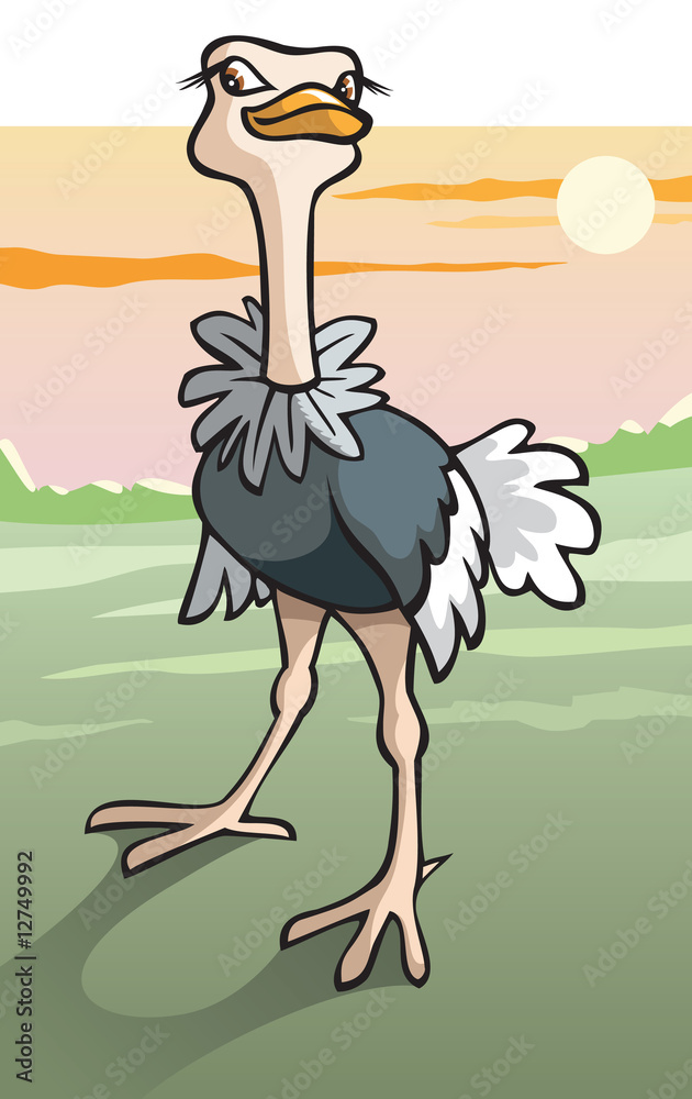 Fototapeta premium Ostrich in savanna, flightless bird, cartoon vector illustration
