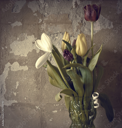 Tulips in vase