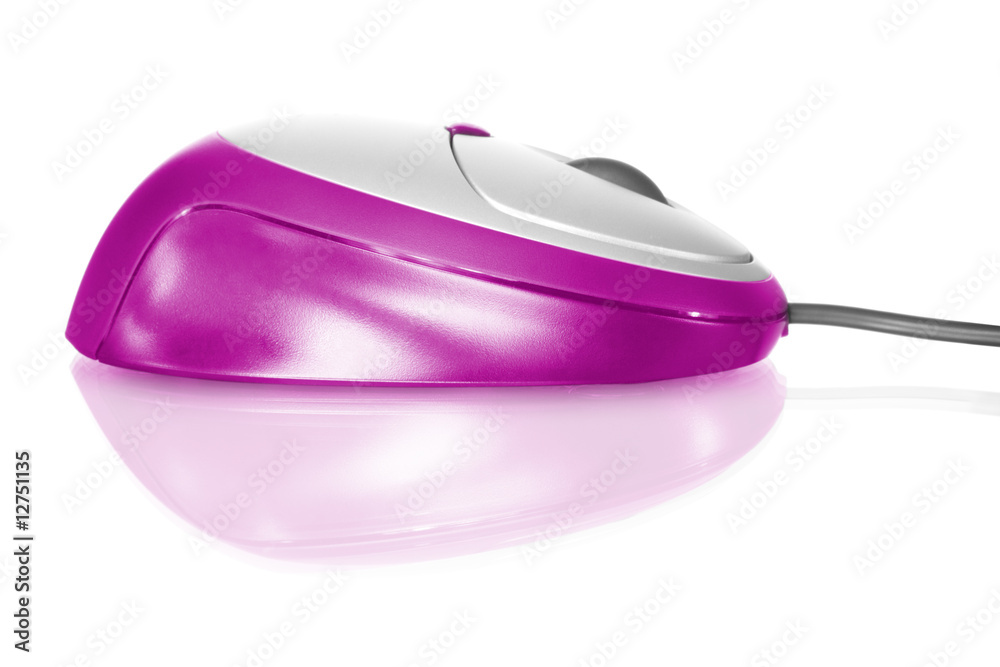Computer mouse Computer mouse