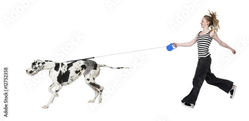 young girl walking her dog (Great dane 4 years) harlequin Great