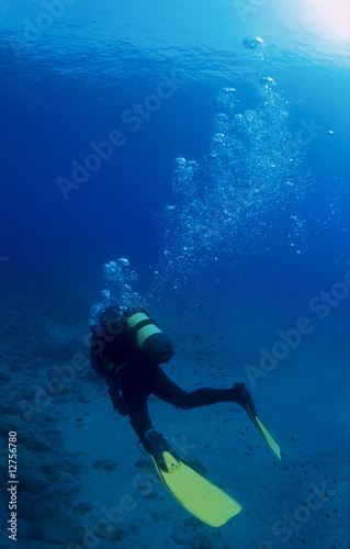 Underwater diver with yellow fins and bubbles.
