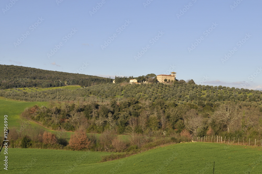 Urlaub in der Toscana zwischen schöne Landschaft und herrlichen Feldern mit Blüten und vielen mehr