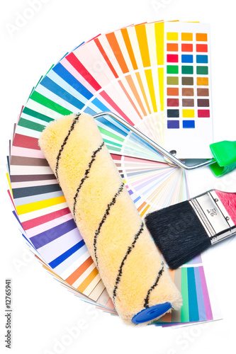 Paint brush and paint roller in the colour guide © Pumba