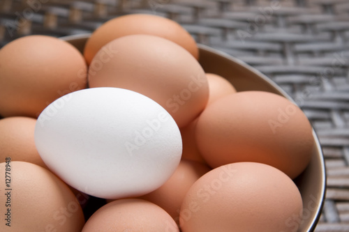 A single white egg in a bowl full of fresh brown eggs