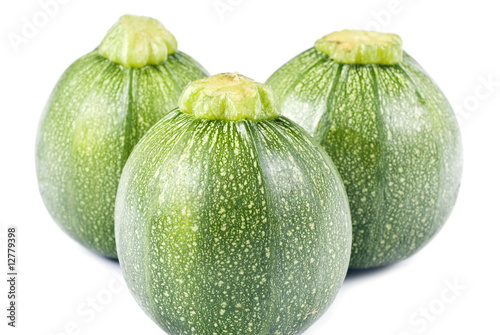 Globe Zucchini