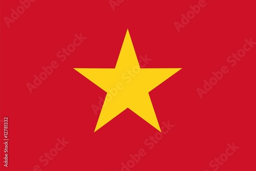 Vietnam national flag. Illustration on white background