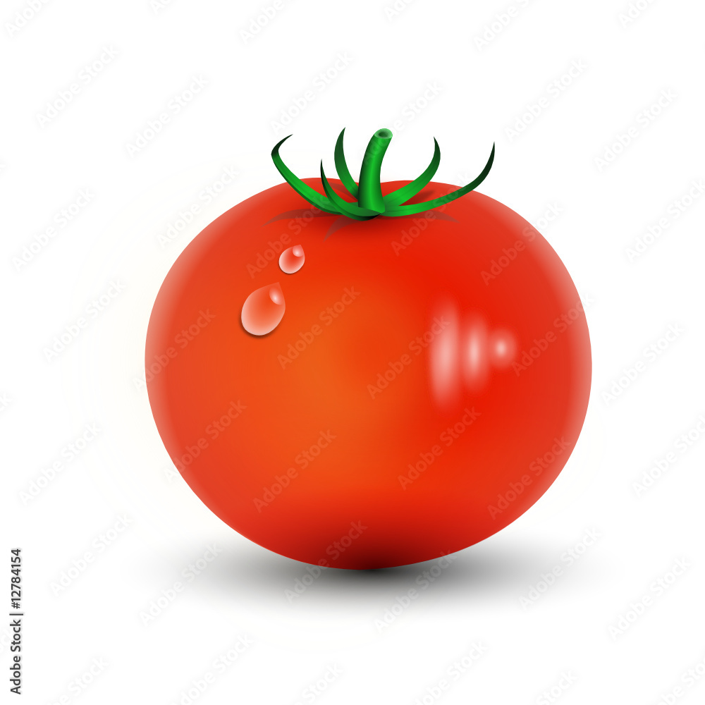 tomate illustration