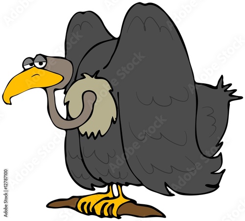 Vulture