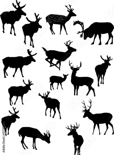 fifteen deer silhouettes