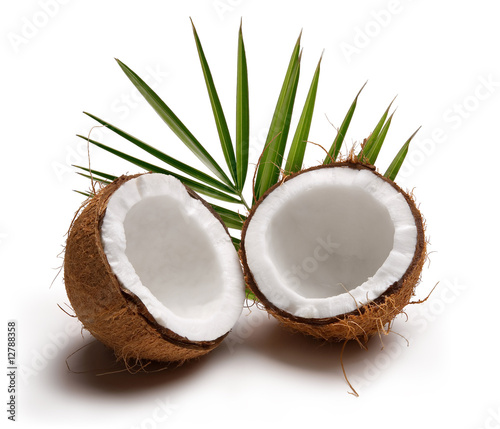 Coconuts 5