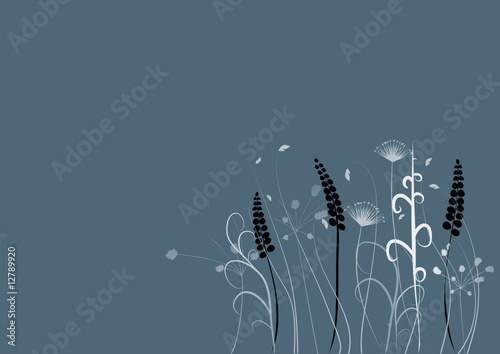 floral background with space for a text