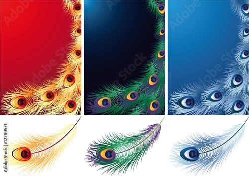 feather