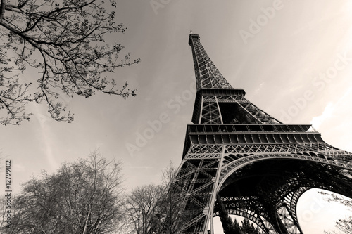 Fototapeta Naklejka Na Ścianę i Meble -  Tour Eiffel -  Eiffel Tower