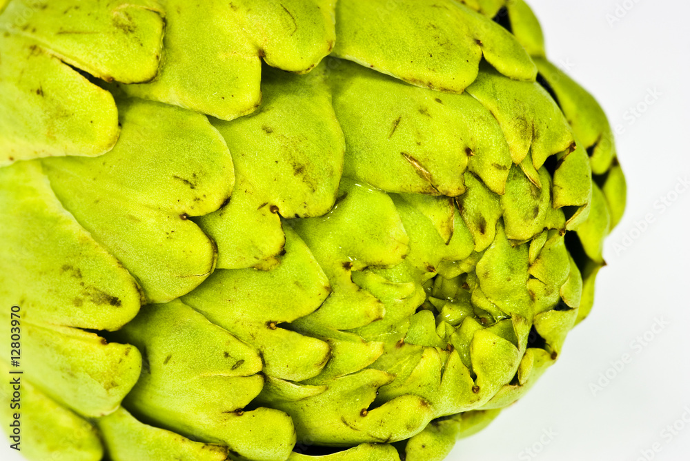 Fototapeta premium artichoke