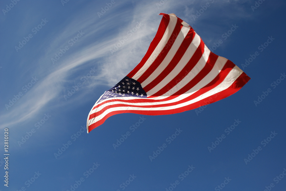 Fototapeta premium Flying free