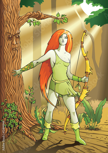 Wall Mural Elf female archer, a character from mythology, folklore legend