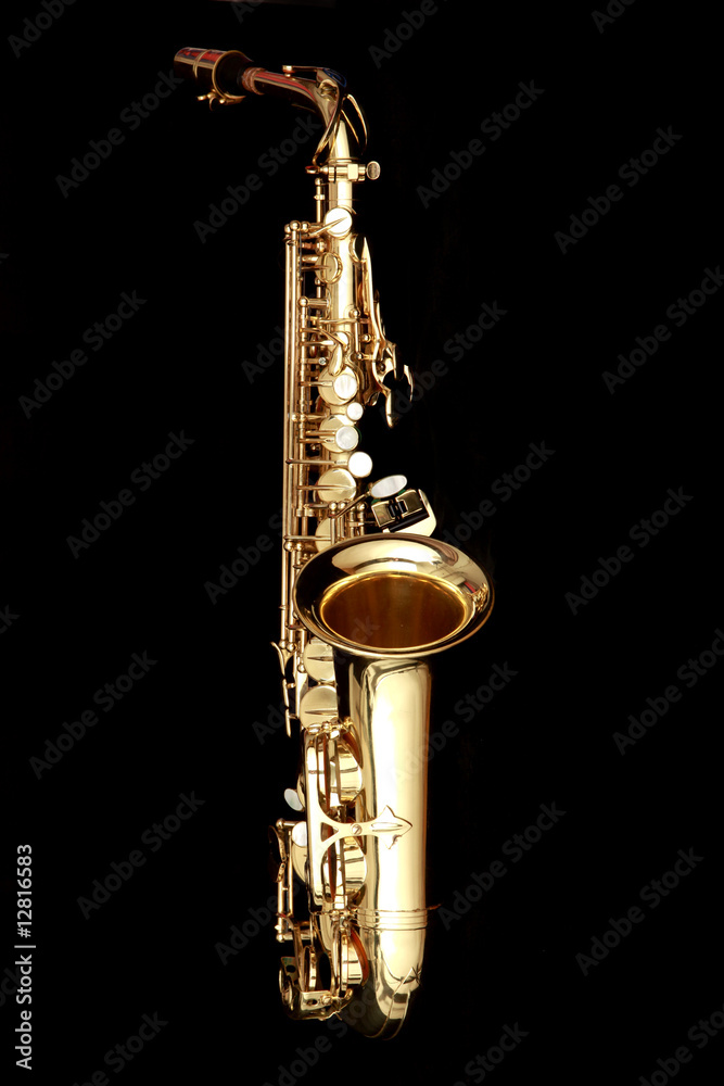 Obraz premium sax